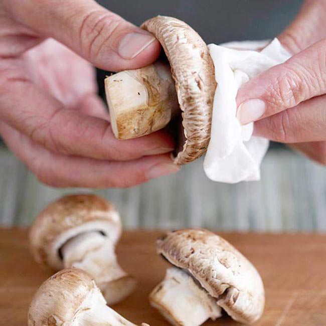 cursos de cultivo de cogumelos