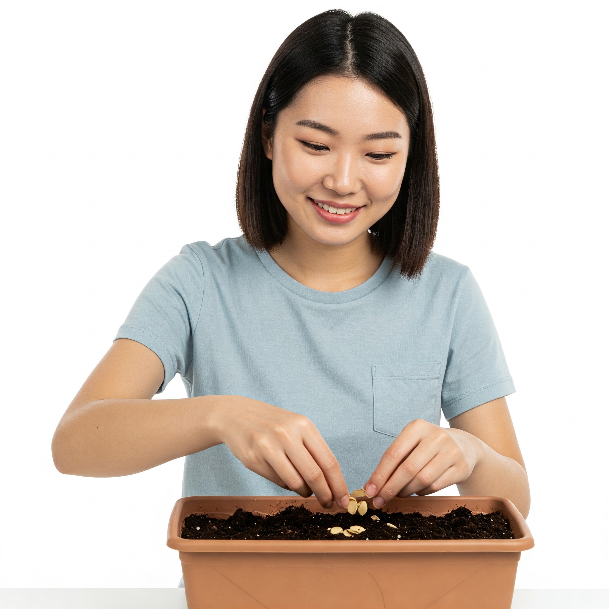 Curso de Plantação de sementes